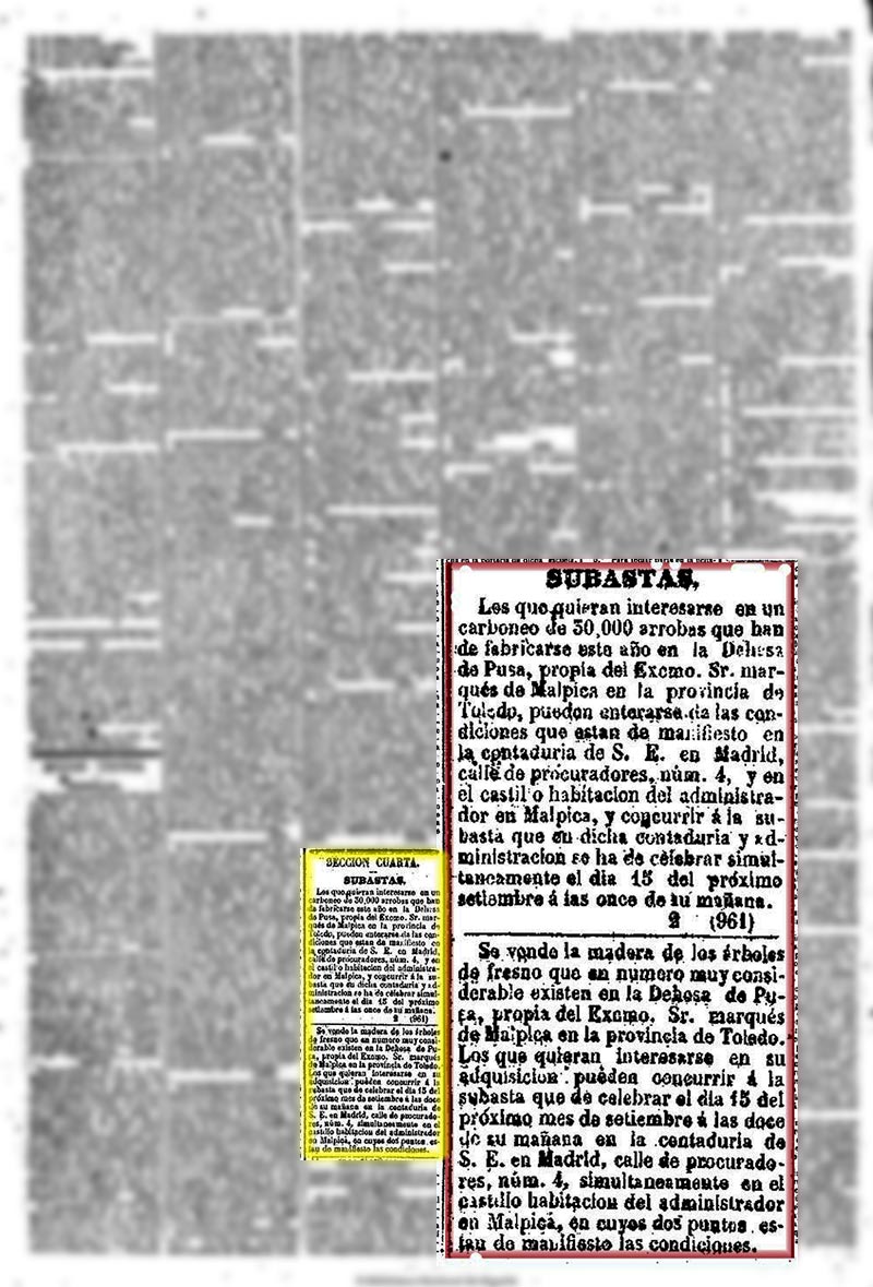 Diario oficial de avisos de Madrid 29/8/1858, página 2. Doble subasta en Valdepusa 