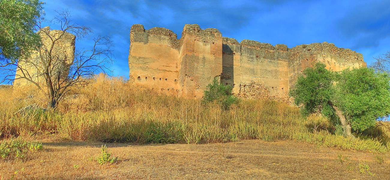 Vista del pao de la muralla NE. del Castillo Villaba - Cebolla - Malpica de Tajo