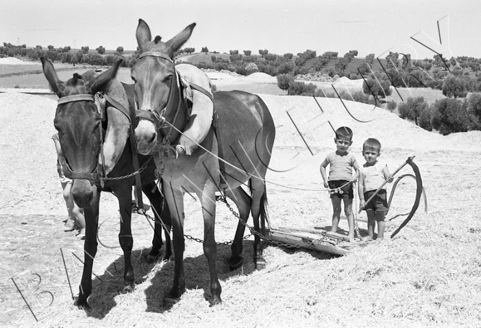 Foto agosto 1960 (12)