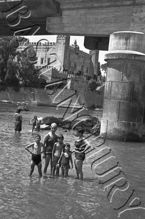 Las primeras cepas en la playa de Malpica de Tajo en 1965