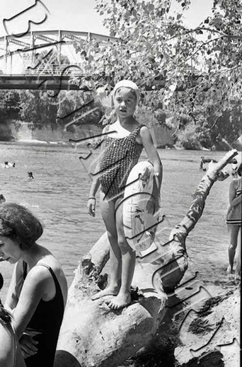 El famoso Palo que daba nombre a la zona, Malpica de Tajo en 1966