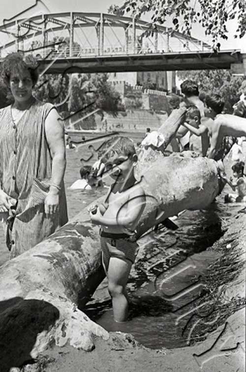 El Palo que daba nombre a la zona, Malpica de Tajo en 1966