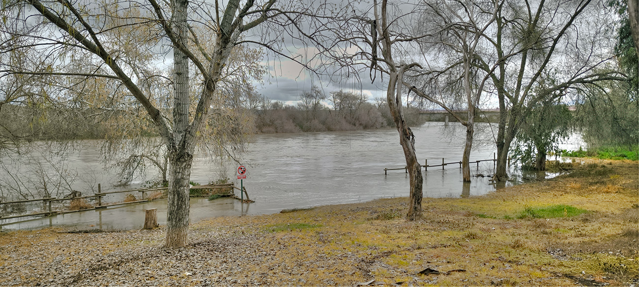 Nivel de las aguas del río Tajo en la fuente de los Tres Caños del 13-03-25 Nivel de las aguas del río Tajo en la fuente de los Tres Caños del 13-03-25