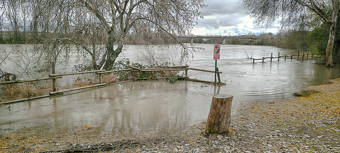 Nivel de las aguas del río Tajo en la fuente de los Tres Caños del 13-03-25 Nivel de las aguas del río Tajo en la fuente de los Tres Caños del 13-03-25
