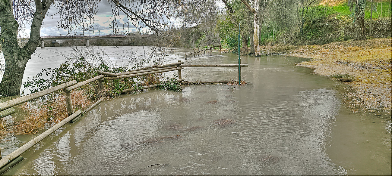 Nivel de las aguas del río Tajo en la fuente de los Tres Caños del 13-03-25 Nivel de las aguas del río Tajo en la fuente de los Tres Caños del 13-03-25