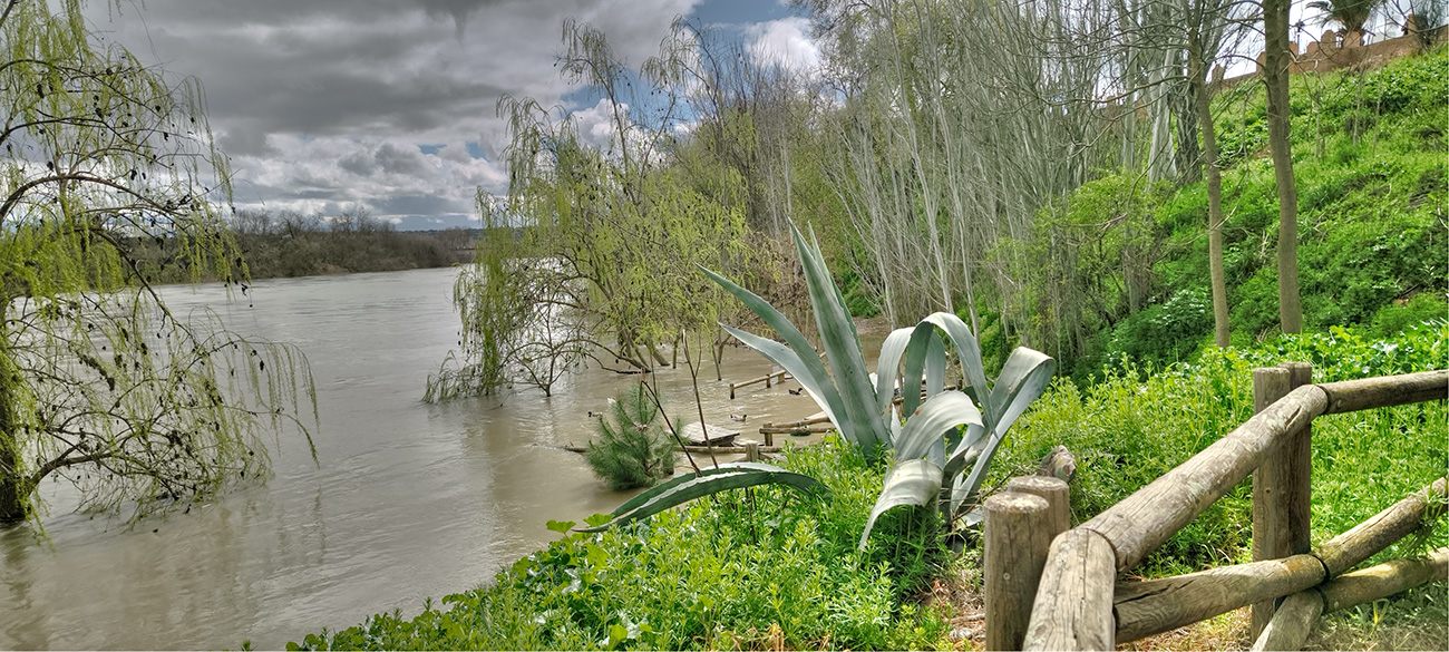 Nivel de las aguas en el Peñón en la crecida del 13-03-25 Nivel de las aguas en el Peñón en la crecida del 13-03-25