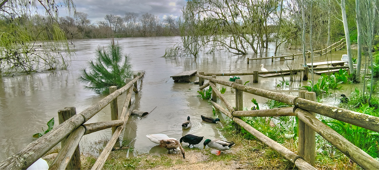Nivel de las aguas en el Peñón en la crecida del 13-03-25 Nivel de las aguas en el Peñón en la crecida del 13-03-25