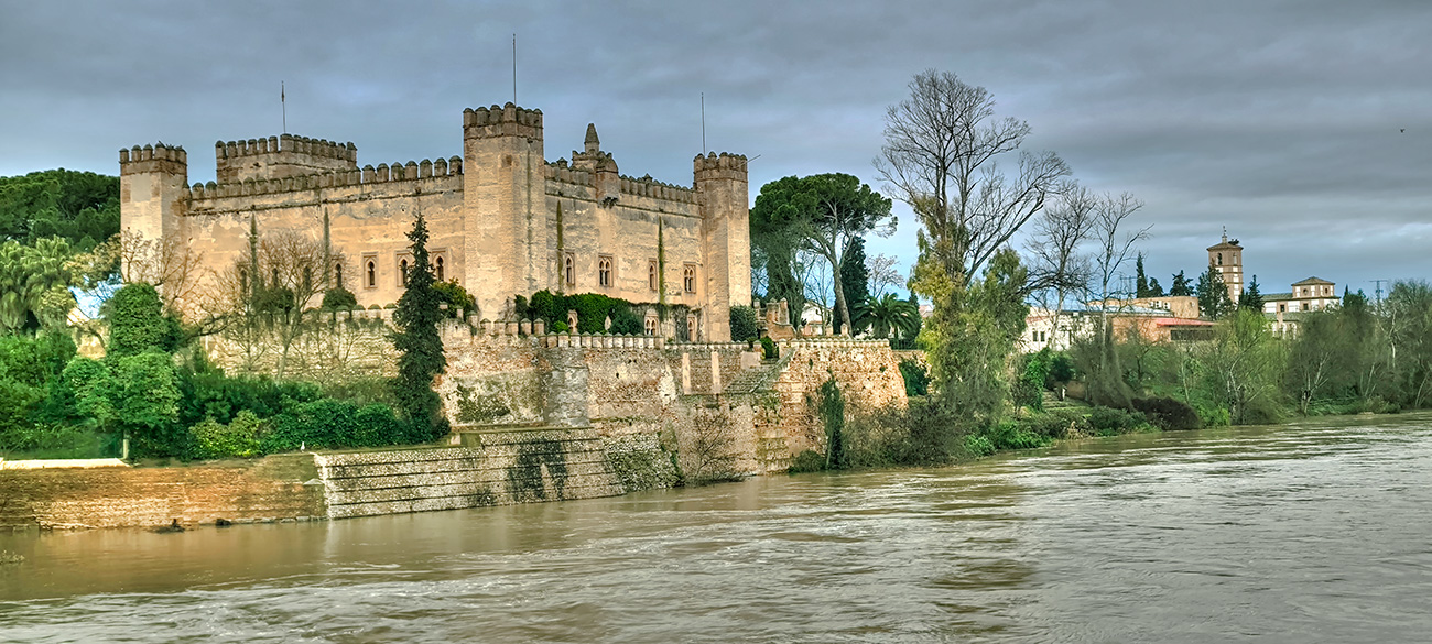 Nivel de las aguas en el frontal del castillo el 13-03-25. El muro está sumergido Nivel de las aguas en el frontal del castillo el 13-03-25. El muro está sumergido