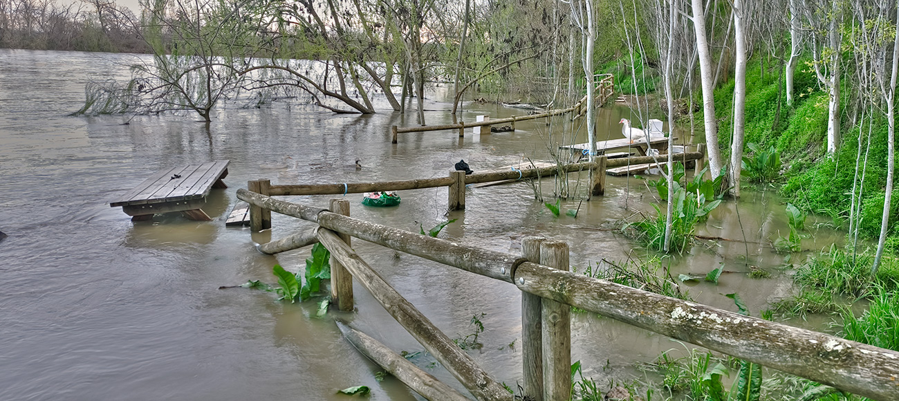 Nivel de las aguas en el Peñón en la crecida del 13-03-25 Nivel de las aguas en el Peñón en la crecida del 13-03-25