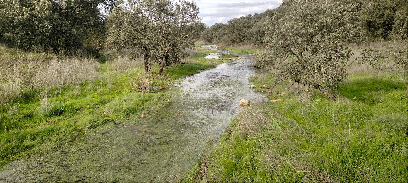 El reguero de Valdecelá en marzo de 2025 El reguero de Valdecelá en marzo de 2025