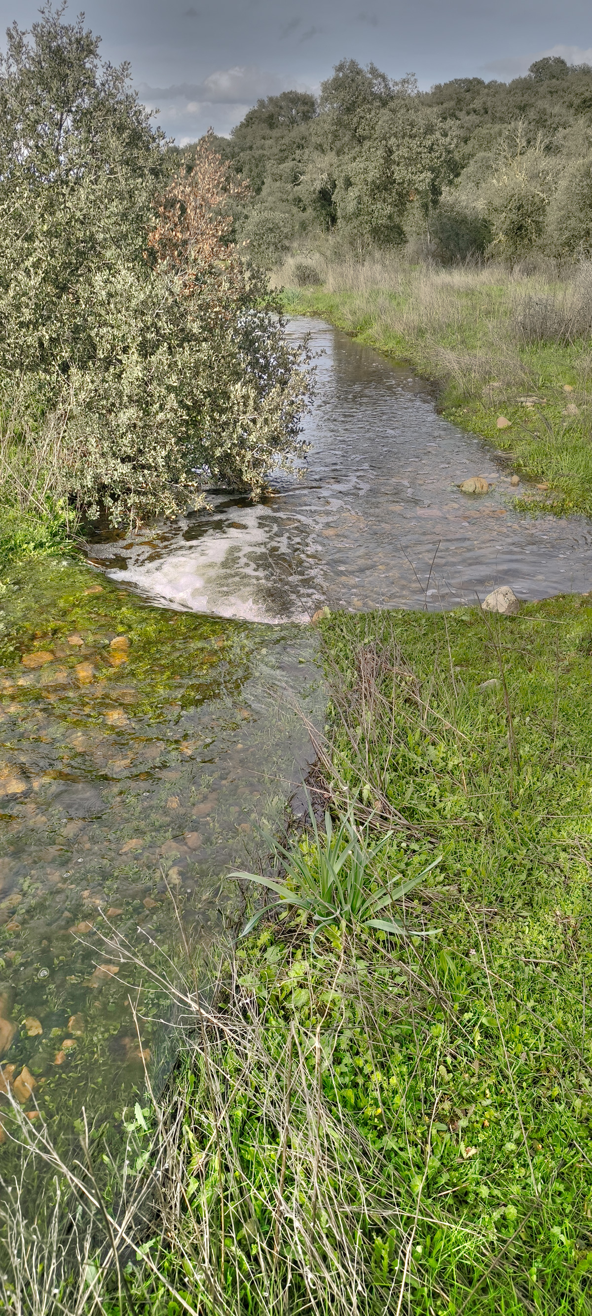 El reguero de Valdecelá en marzo de 2025 El reguero de Valdecelá en marzo de 2025