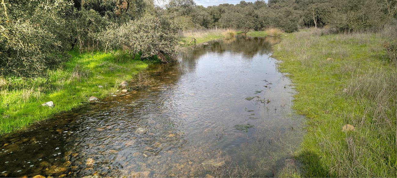 El reguero de Valdecelá en marzo de 2025 El reguero de Valdecelá en marzo de 2025