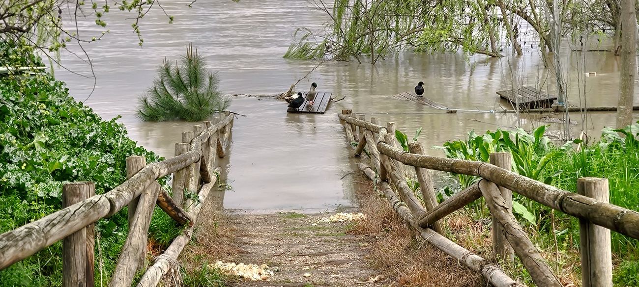 Nivel de las aguas en el río Tajo a su paso por el Peñón en Malpica de Tajo tras el frente de borrascas de marzo de 2025 Nivel de las aguas en el río Tajo a su paso por el Peñón en Malpica de Tajo tras el frente de borrascas de marzo de 2025