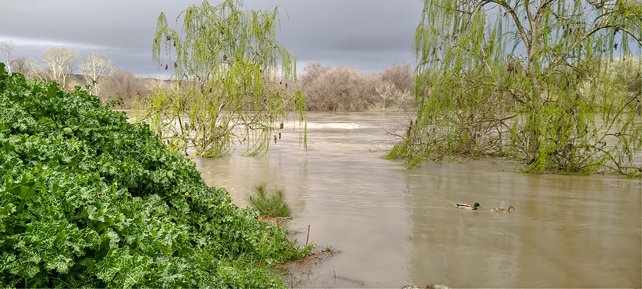 Nivel de las aguas en el río Tajo a su paso por el Peñón en Malpica de Tajo tras el frente de borrascas de marzo de 2025 Nivel de las aguas en el río Tajo a su paso por el Peñón en Malpica de Tajo tras el frente de borrascas de marzo de 2025