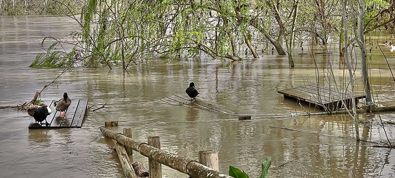 Nivel de las aguas en el río Tajo a su paso por el Peñón en Malpica de Tajo tras el frente de borrascas de marzo de 2025 Nivel de las aguas en el río Tajo a su paso por el Peñón en Malpica de Tajo tras el frente de borrascas de marzo de 2025