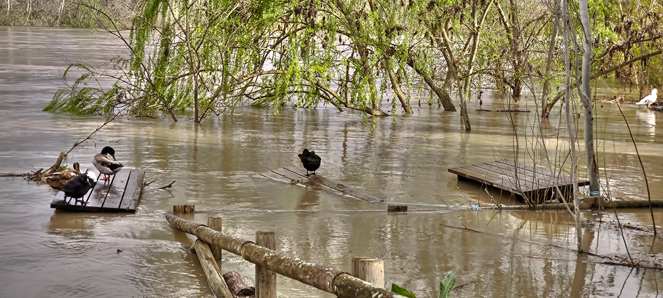 Nivel de las aguas en el río Tajo a su paso por el Peñón en Malpica de Tajo tras el frente de borrascas de marzo de 2025 Nivel de las aguas en el río Tajo a su paso por el Peñón en Malpica de Tajo tras el frente de borrascas de marzo de 2025