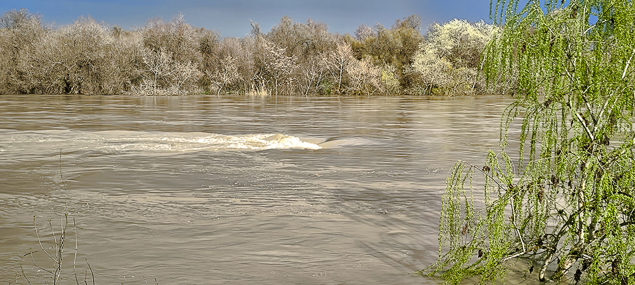 Nivel de las aguas en el río Tajo a su paso por el Peñón en Malpica de Tajo tras el frente de borrascas de marzo de 2025 Nivel de las aguas en el río Tajo a su paso por el Peñón en Malpica de Tajo tras el frente de borrascas de marzo de 2025