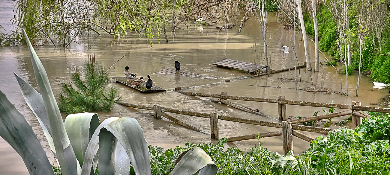 Nivel de las aguas en el río Tajo a su paso por el Peñón en Malpica de Tajo tras el frente de borrascas de marzo de 2025 Nivel de las aguas en el río Tajo a su paso por el Peñón en Malpica de Tajo tras el frente de borrascas de marzo de 2025