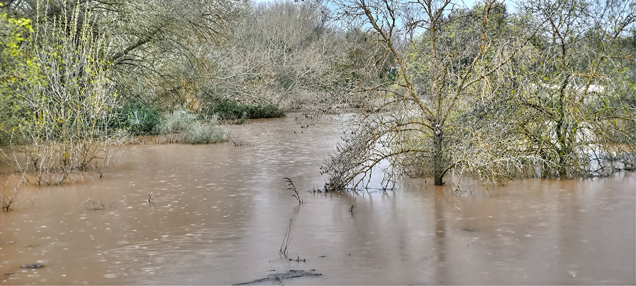 Nivel de las aguas del arroyo Cedena tras la crecida de marzo de 2025 Nivel de las aguas del arroyo Cedena tras la crecida de marzo de 2025