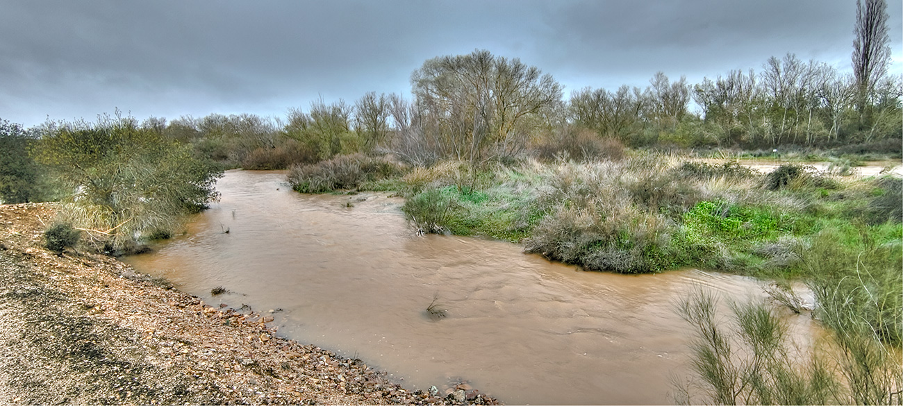 Nivel de las aguas del arroyo Cedena tras la crecida de marzo de 2025 Nivel de las aguas del arroyo Cedena tras la crecida de marzo de 2025