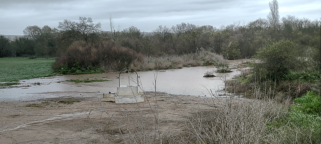 Nivel de las aguas del arroyo Cedena tras la crecida de marzo de 2025 Nivel de las aguas del arroyo Cedena tras la crecida de marzo de 2025