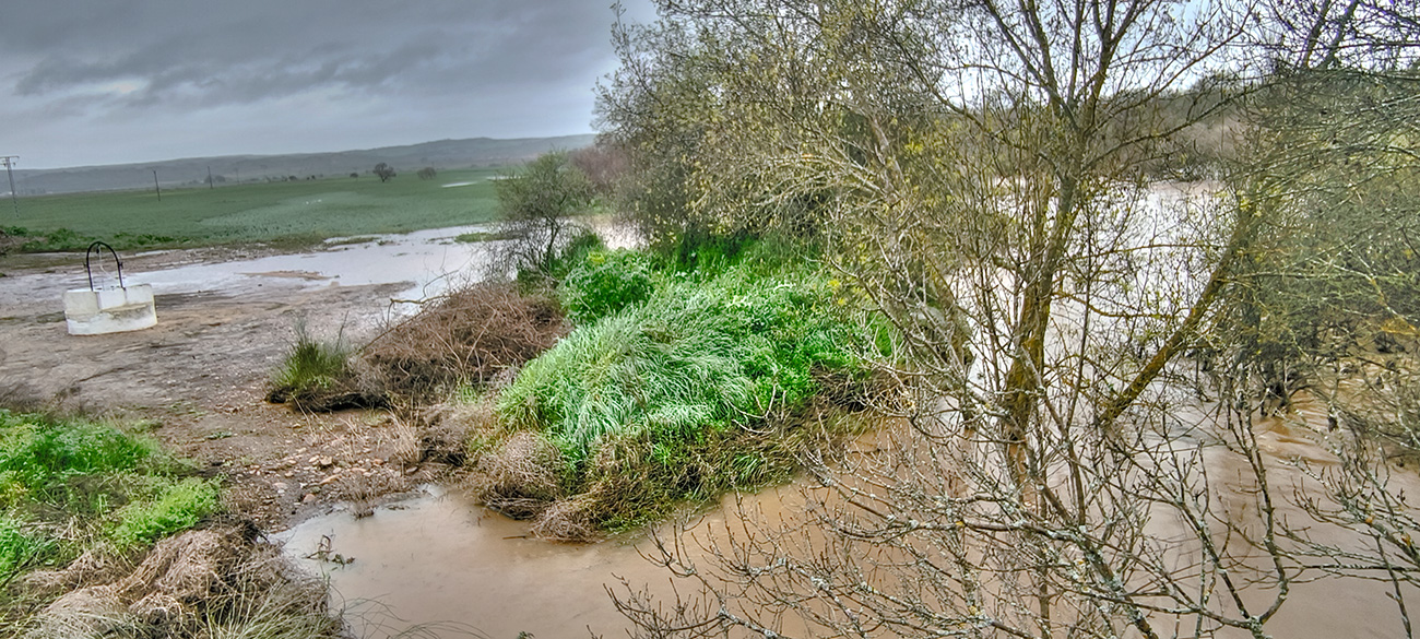Nivel de las aguas del arroyo Cedena tras la crecida de marzo de 2025 Nivel de las aguas del arroyo Cedena tras la crecida de marzo de 2025