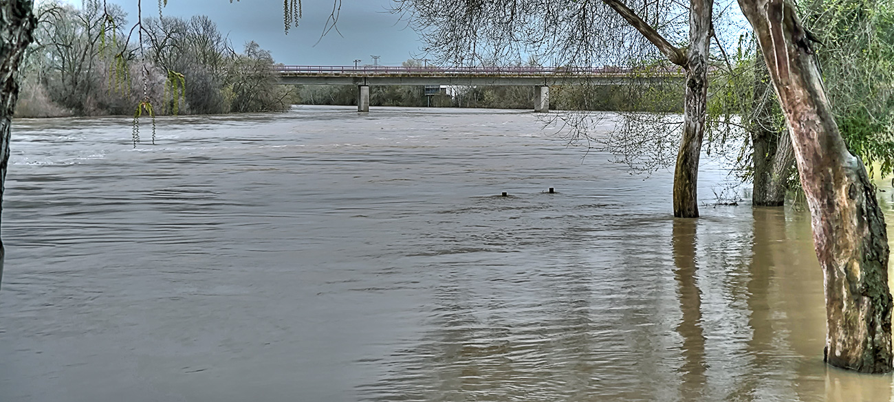 Nivel de las aguas del río Tajo en la fuente de los Tres Caños del 22-03-25 Nivel de las aguas del río Tajo en la fuente de los Tres Caños del 22-03-25