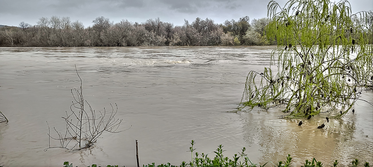 Nivel de las aguas en el río Tajo a su paso por el Peñón en Malpica de Tajo tras el frente de borrascas de marzo de 2025 Nivel de las aguas en el río Tajo a su paso por el Peñón en Malpica de Tajo tras el frente de borrascas de marzo de 2025