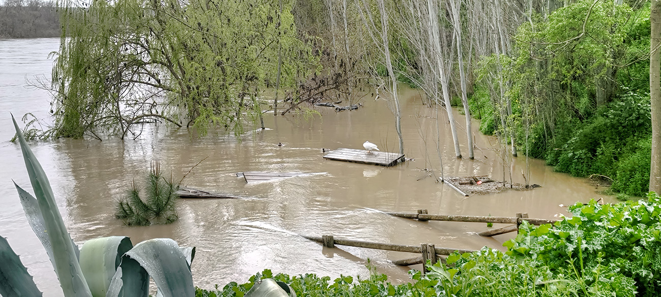Nivel de las aguas en el río Tajo a su paso por el Peñón en Malpica de Tajo tras el frente de borrascas de marzo de 2025 Nivel de las aguas en el río Tajo a su paso por el Peñón en Malpica de Tajo tras el frente de borrascas de marzo de 2025