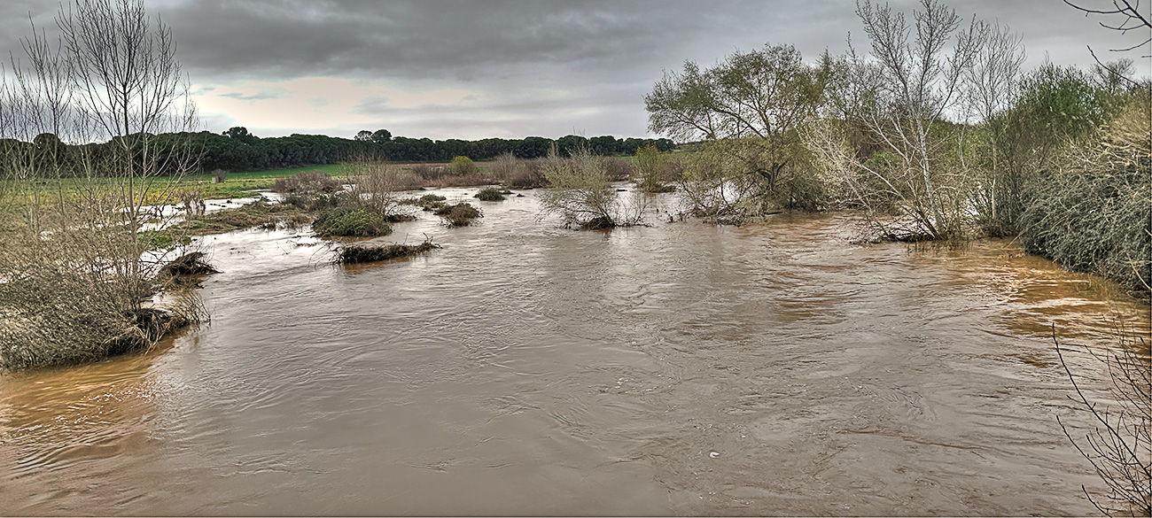 Nivel de las aguas del arroyo Pusa el 22 de marzo de 2025 Nivel de las aguas del arroyo Pusa el 22 de marzo de 2025