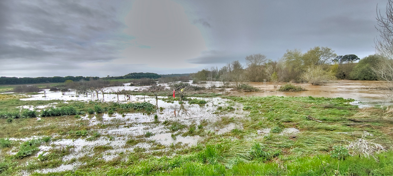 Nivel de las aguas del arroyo Pusa el 22 de marzo de 2025 Nivel de las aguas del arroyo Pusa el 22 de marzo de 2025