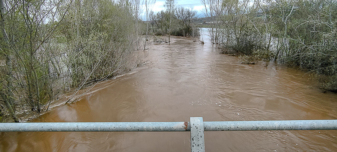 Nivel de las aguas del arroyo Pusa el 22 de marzo de 2025 Nivel de las aguas del arroyo Pusa el 22 de marzo de 2025