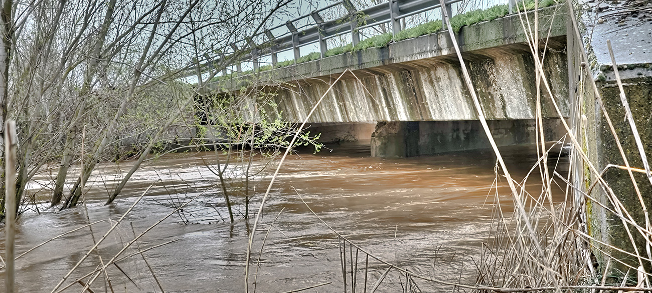 Nivel de las aguas del arroyo Pusa el 22 de marzo de 2025 Nivel de las aguas del arroyo Pusa el 22 de marzo de 2025