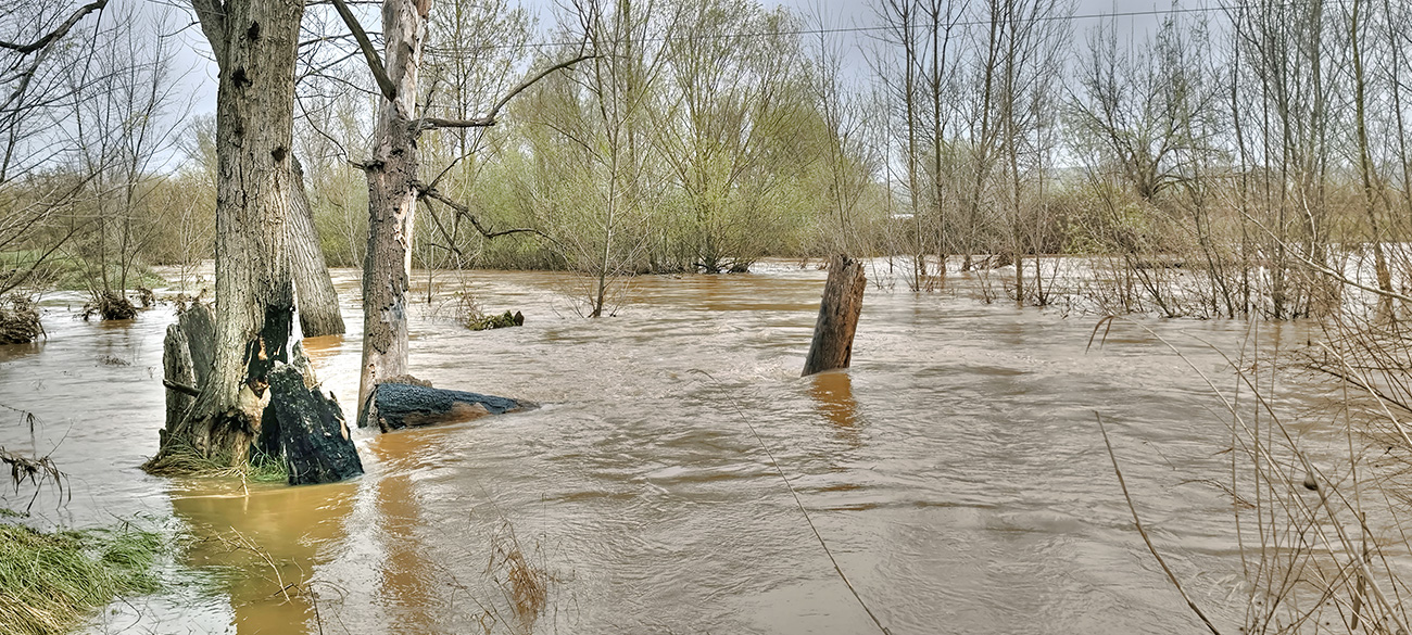 Nivel de las aguas del arroyo Pusa el 22 de marzo de 2025 Nivel de las aguas del arroyo Pusa el 22 de marzo de 2025