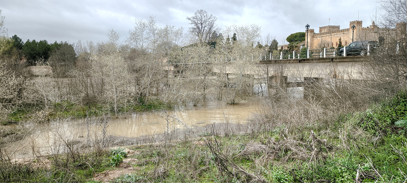 Nivel de las aguas en el río Tajo a su paso por Malpica de Tajo tras el frente de borrascas de marzo de 2025 Nivel de las aguas en el río Tajo a su paso por Malpica de Tajo tras el frente de borrascas de marzo de 2025