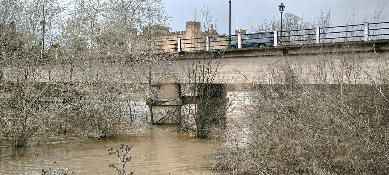 Nivel de las aguas en el río Tajo a su paso por Malpica de Tajo tras el frente de borrascas de marzo de 2025 Nivel de las aguas en el río Tajo a su paso por Malpica de Tajo tras el frente de borrascas de marzo de 2025