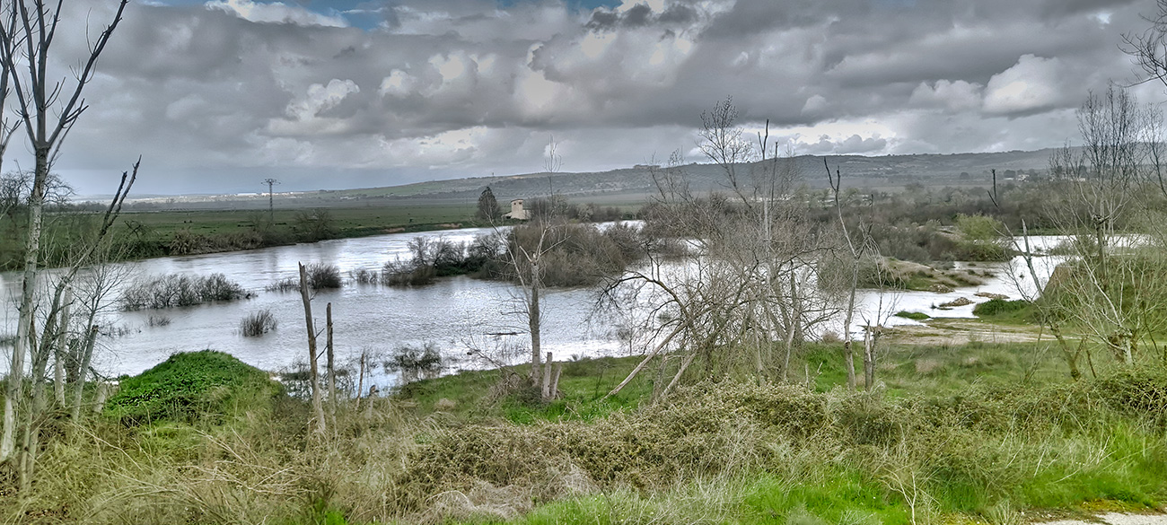 Nivel de las aguas en el río Tajo a su paso por Malpica de Tajo tras el frente de borrascas de marzo de 2025 Nivel de las aguas en el río Tajo a su paso por Malpica de Tajo tras el frente de borrascas de marzo de 2025