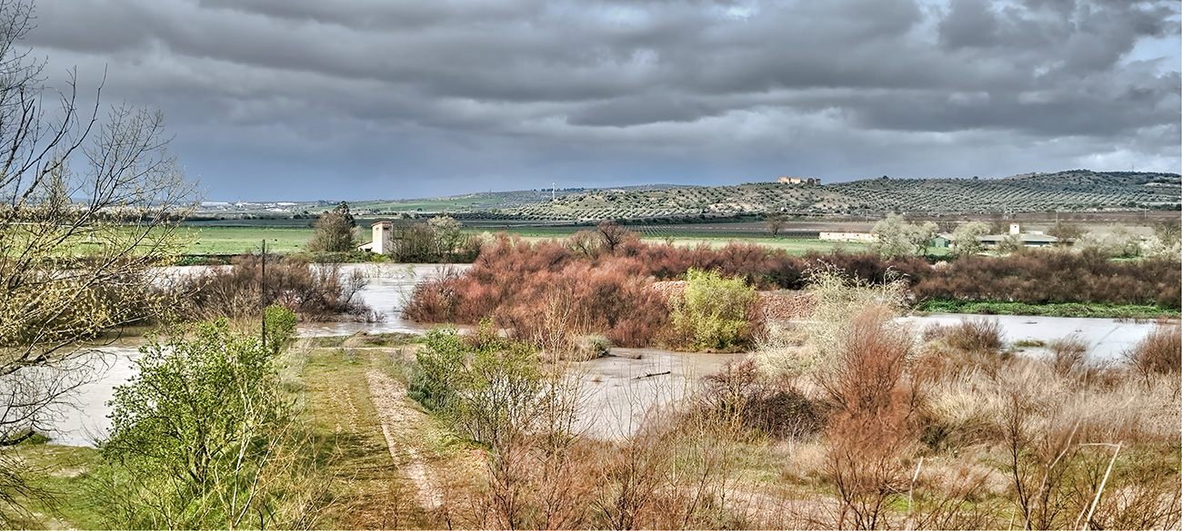 Nivel de las aguas en el río Tajo a su paso por Malpica de Tajo tras el frente de borrascas de marzo de 2025 Nivel de las aguas en el río Tajo a su paso por Malpica de Tajo tras el frente de borrascas de marzo de 2025