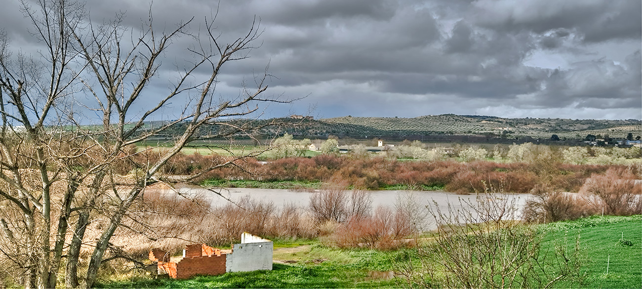 Nivel de las aguas en el río Tajo a su paso por Malpica de Tajo tras el frente de borrascas de marzo de 2025 Nivel de las aguas en el río Tajo a su paso por Malpica de Tajo tras el frente de borrascas de marzo de 2025