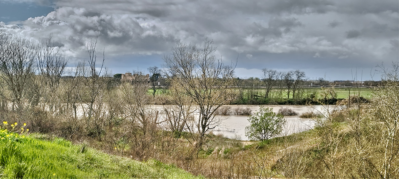 Nivel de las aguas en el río Tajo a su paso por Malpica de Tajo tras el frente de borrascas de marzo de 2025 Nivel de las aguas en el río Tajo a su paso por Malpica de Tajo tras el frente de borrascas de marzo de 2025