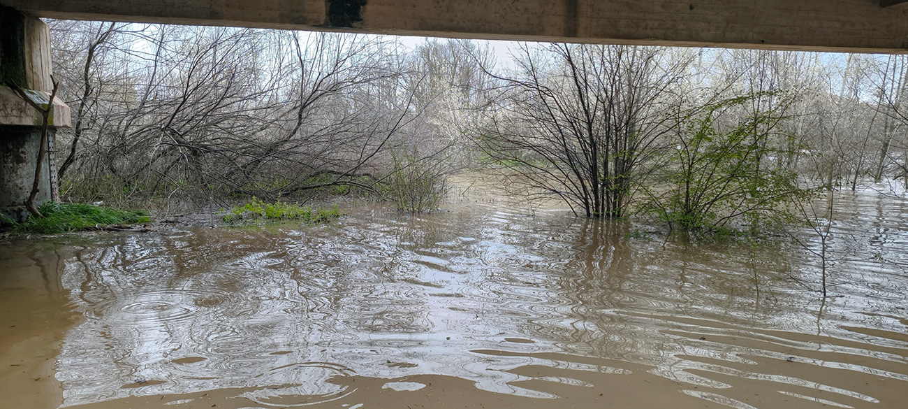 Nivel de las aguas en el río Tajo a su paso por Malpica de Tajo tras el frente de borrascas de marzo de 2025 Nivel de las aguas en el río Tajo a su paso por Malpica de Tajo tras el frente de borrascas de marzo de 2025
