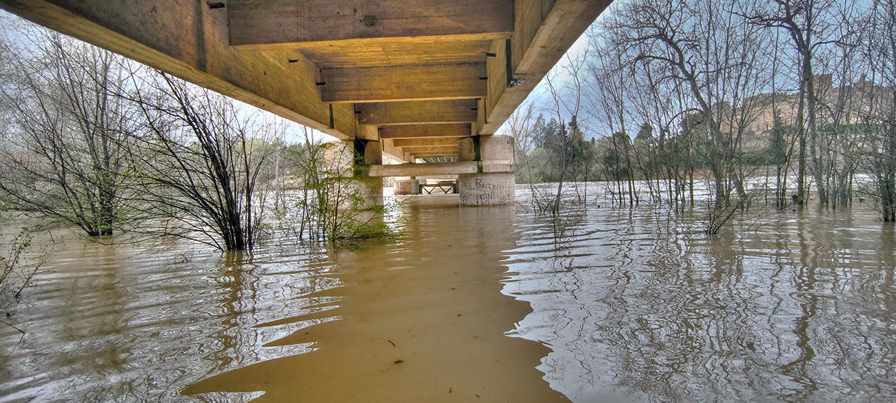 Nivel de las aguas en el río Tajo a su paso por Malpica de Tajo tras el frente de borrascas de marzo de 2025 Nivel de las aguas en el río Tajo a su paso por Malpica de Tajo tras el frente de borrascas de marzo de 2025