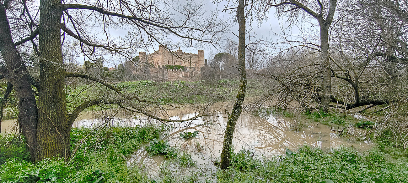 Nivel de las aguas en el río Tajo a su paso por Malpica de Tajo tras el frente de borrascas de marzo de 2025 Nivel de las aguas en el río Tajo a su paso por Malpica de Tajo tras el frente de borrascas de marzo de 2025