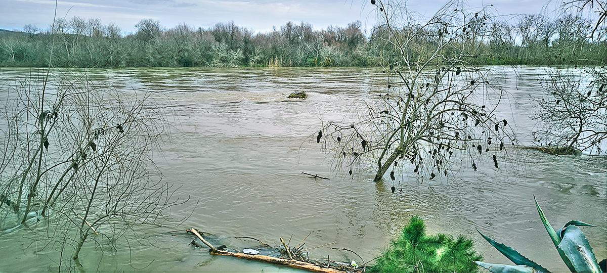 Nivel del agua del río Tajo en el Peñón eñ 16_02_26