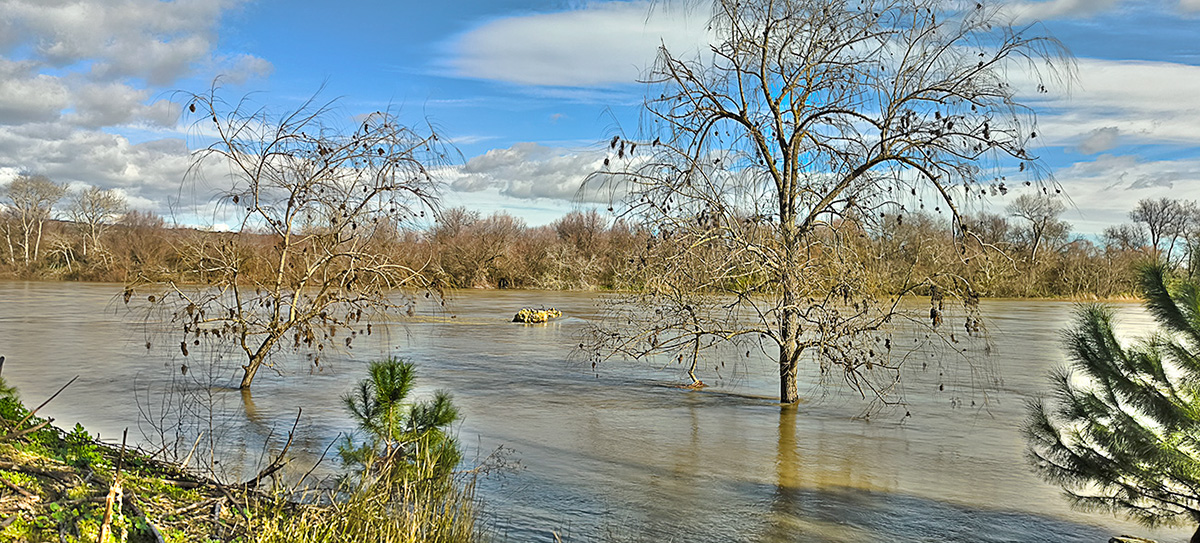 Nivel del agua del río Tajo en el Peñón eñ 8_02_26