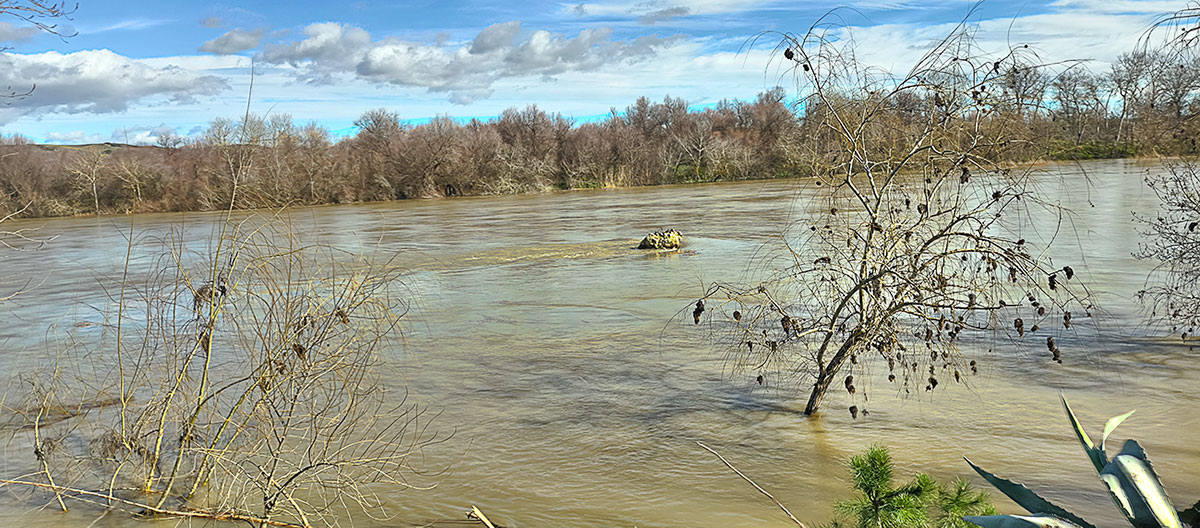 Nivel del agua del río Tajo en el Peñón eñ 8_02_26