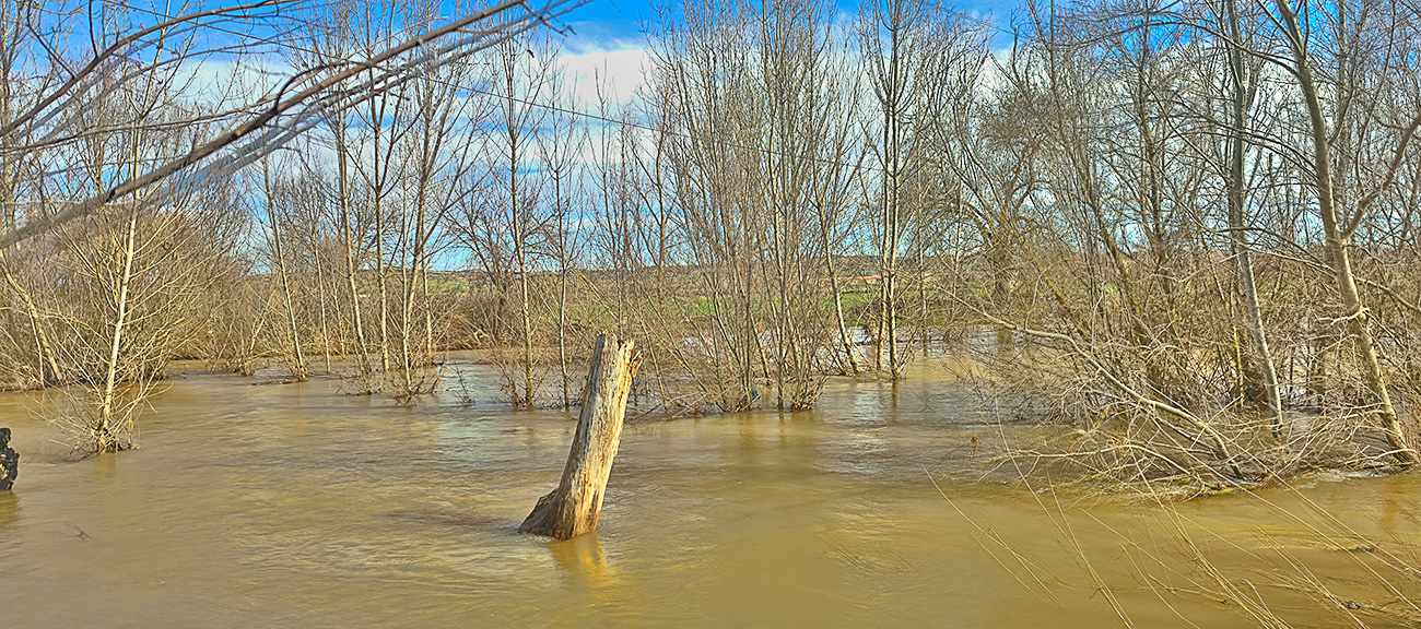 Nivel de las aguas del arroyo Pusa el 8 de febrero de 2026