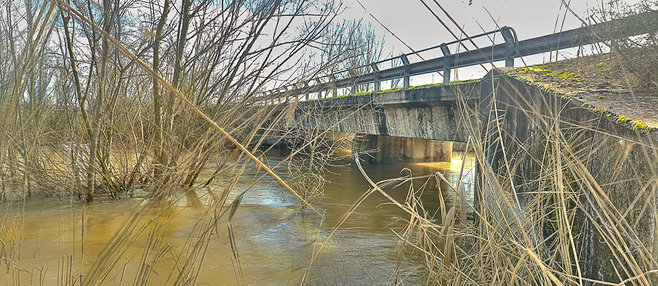 Nivel de las aguas del arroyo Pusa el 8 de febrero de 2026