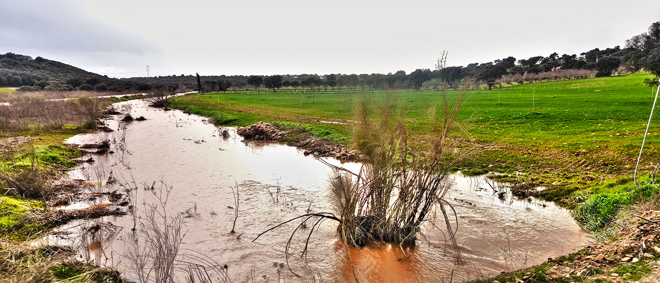 Nivel de las aguas en el reguero de Valseco el 8 de febrero de 2026