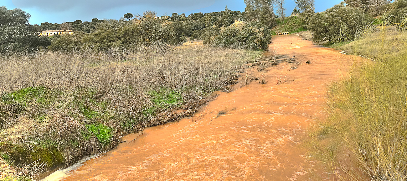 Nivel de las aguas en el reguero de Valseco el 8 de febrero de 2026